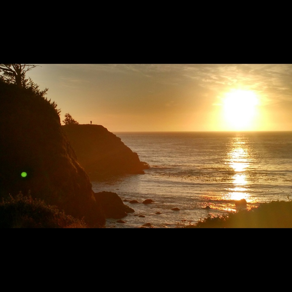 Meet your Posher, Pamela